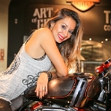 Harley-Davidson_063_Giselle